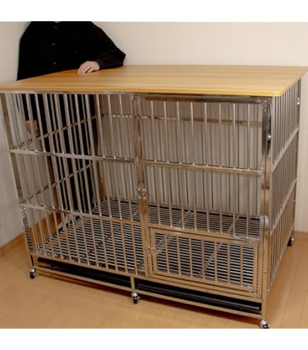 Amazon | 市瀬 ハチコウステンレスケージ SSM-SOP | 市瀬 | 飼育ケージ